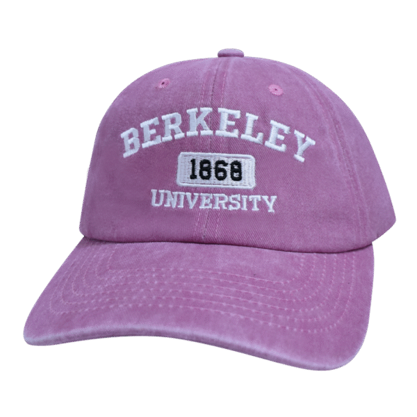 Gorra PRL25 Lila