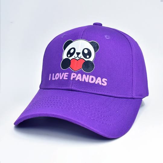 GORRAS GDD 01