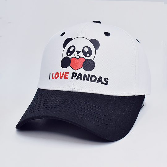 GORRAS GDD 01